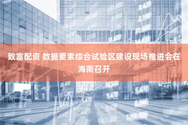 致富配资 数据要素综合试验区建设现场推进会在海南召开