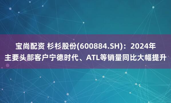 宝尚配资 杉杉股份(600884.SH)：2024年主要头部客户宁德时代、ATL等销量同比大幅提升
